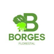 Borges Agroimobiliaria